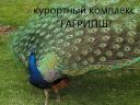 Пансионат Гагрипш
